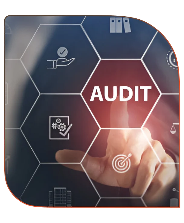 AccurexandAssociates-auditandassurance